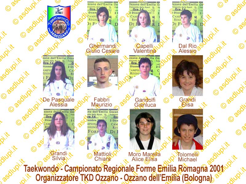 Campionato Regionale Taekwondo 2001 a Ozzano dell'Emilia